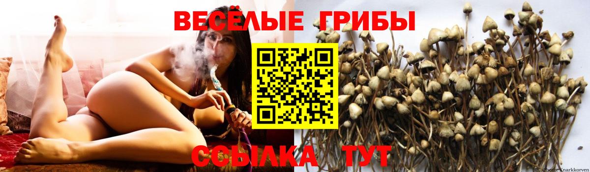 Псилоцибиновые грибы мухоморы Майкоп